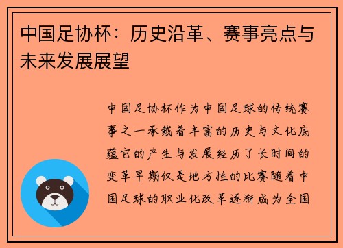 中国足协杯：历史沿革、赛事亮点与未来发展展望