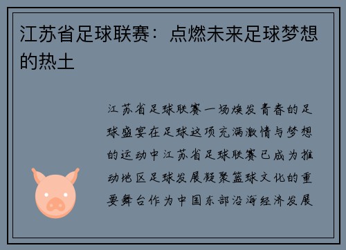 江苏省足球联赛：点燃未来足球梦想的热土